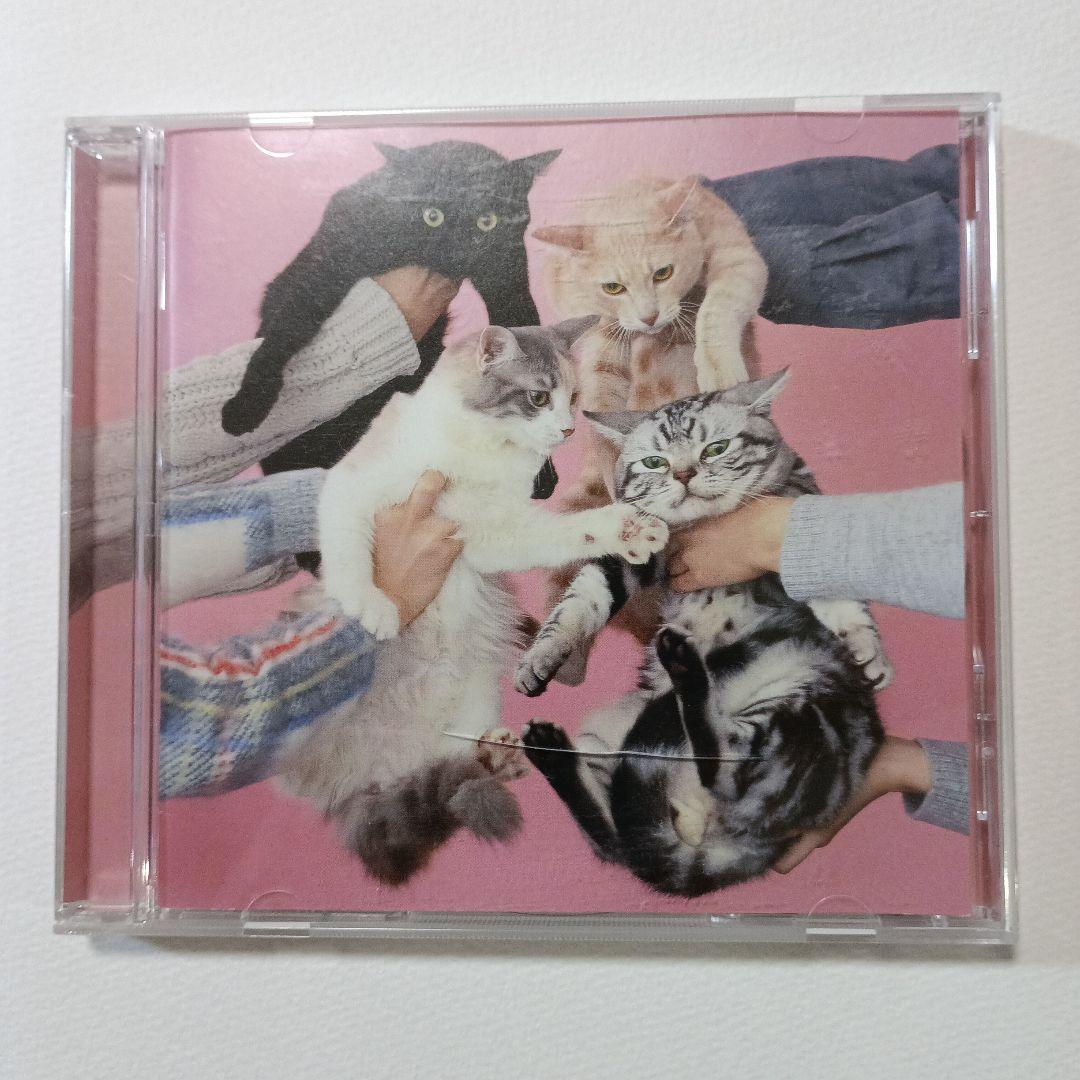 きのこ帝国 アルバムCD「猫とアレルギー」 - メルカリ