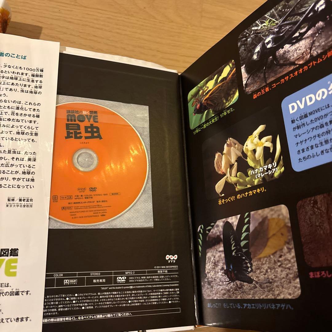 講談社の動く図鑑move(ムーブ) 全11冊セット 全巻DVD付 恐竜2 昆虫