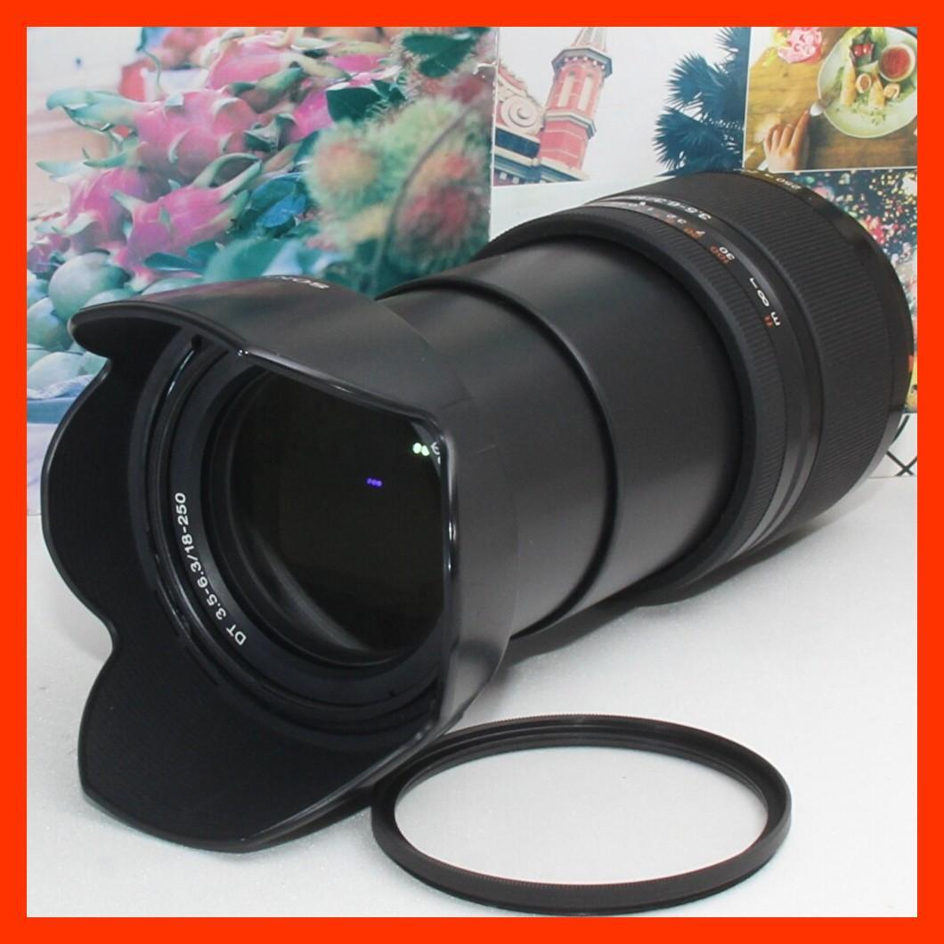 ❤️近遠対応の神レンズ❤️SONY DT 18-250mm ソニーaマウント用