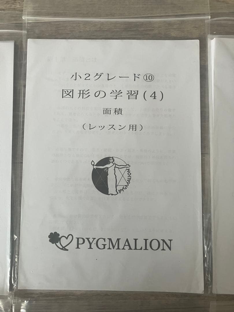 美品・袋入】ピグマリオン グレード別10冊セット 図形の学習 分数 整数