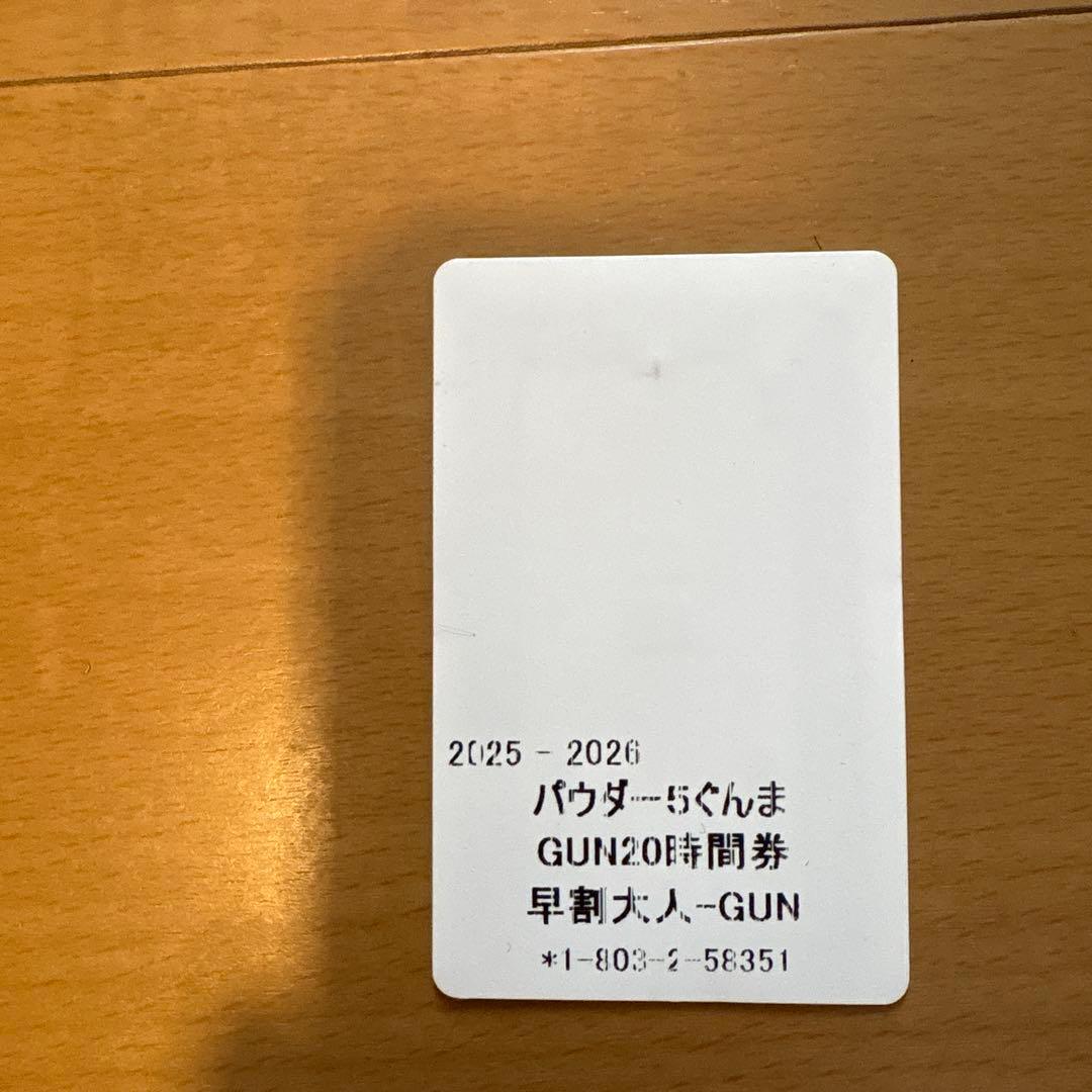 パウダー5 ぐんま 20時間券 残り12時間 - メルカリ