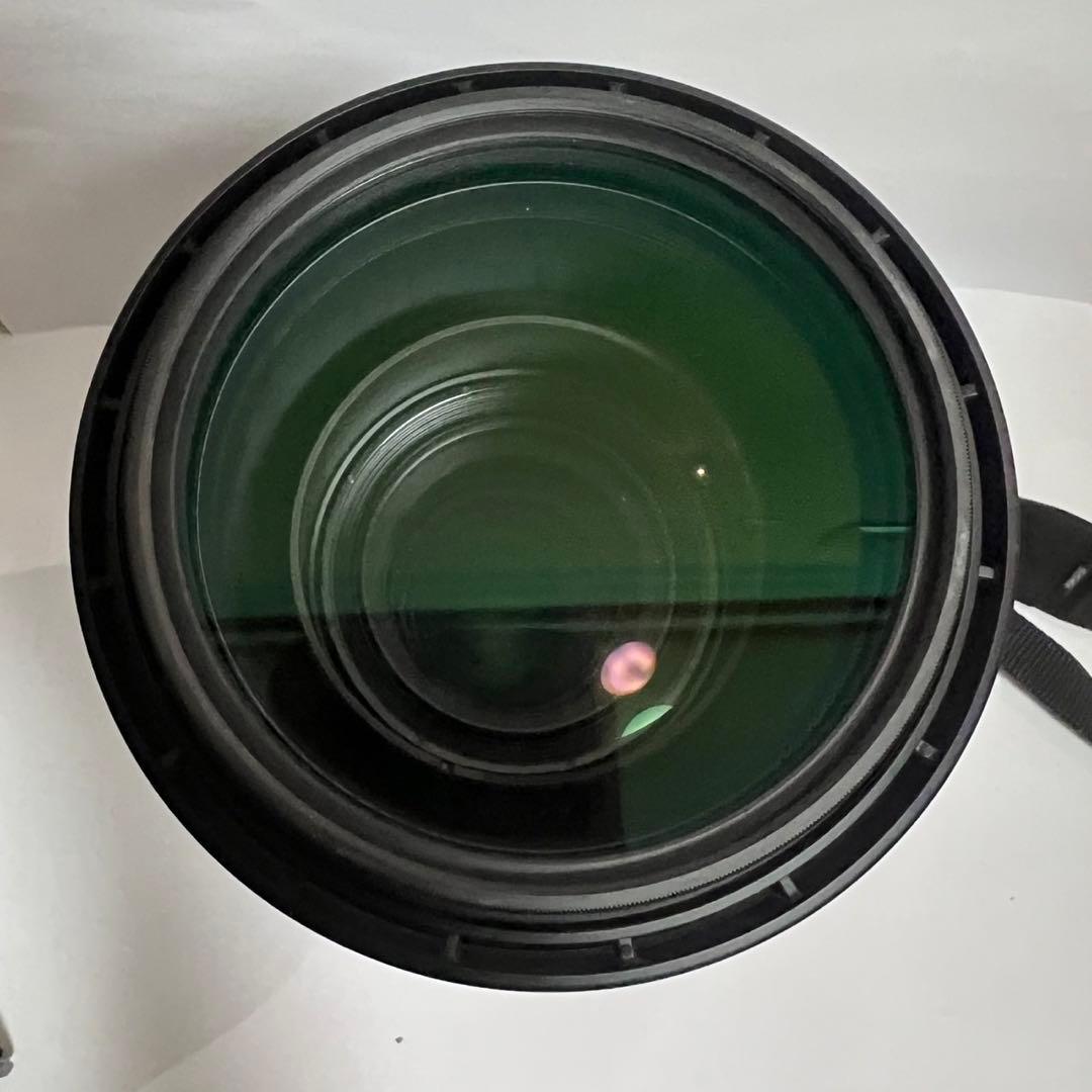 レンズ(ズーム) SIGMA 150-600mm f/5-6.3 DG OS HSM