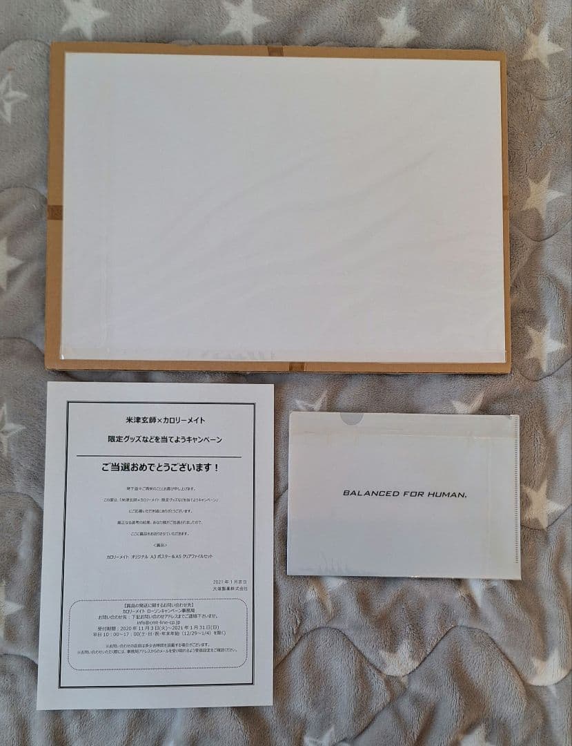 米津玄師 カロリーメイト キャンペーン ポスター クリアファイル