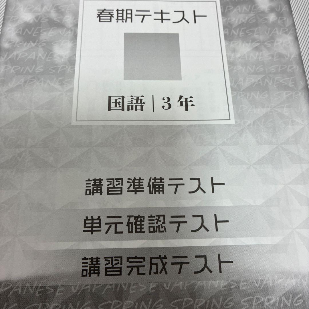 早稲田アカデミー 中3 特訓クラス 春期講習 国語 塾 教材 テキスト SK