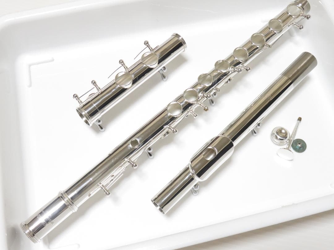 ゾンネストラール サナトリウム 近代建築の歴史と修復