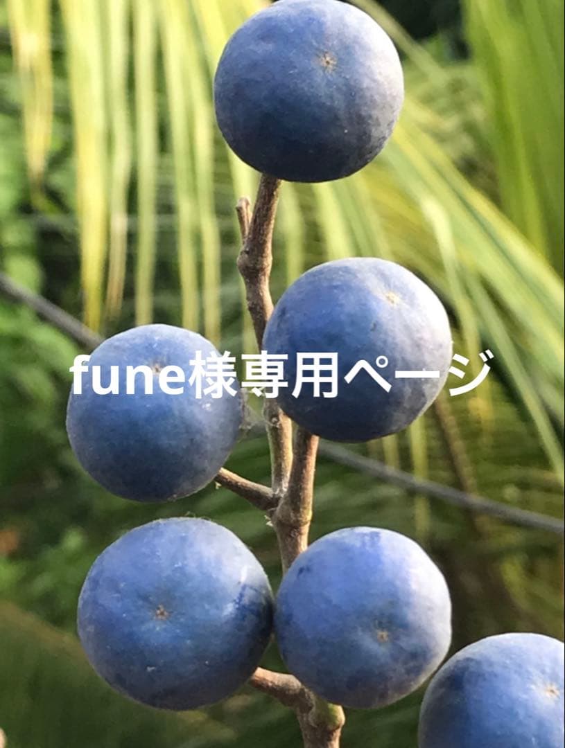 バリ島　木彫り額付きストーンレリーフ 木彫りのアジアンフレーム付きフラワーモチーフのストーンレリーフ 3