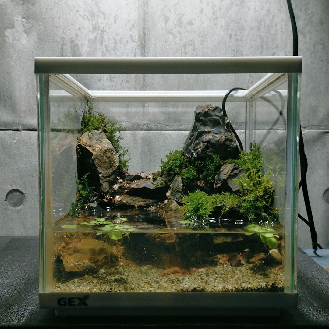 滝の流れるイモリウム アクアテラリウム k様専用 - メルカリ