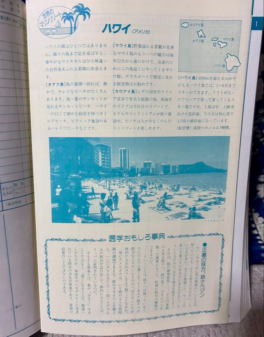 第一生命 家計簿 1990年 旅行ガイド付き《ノベルティー》