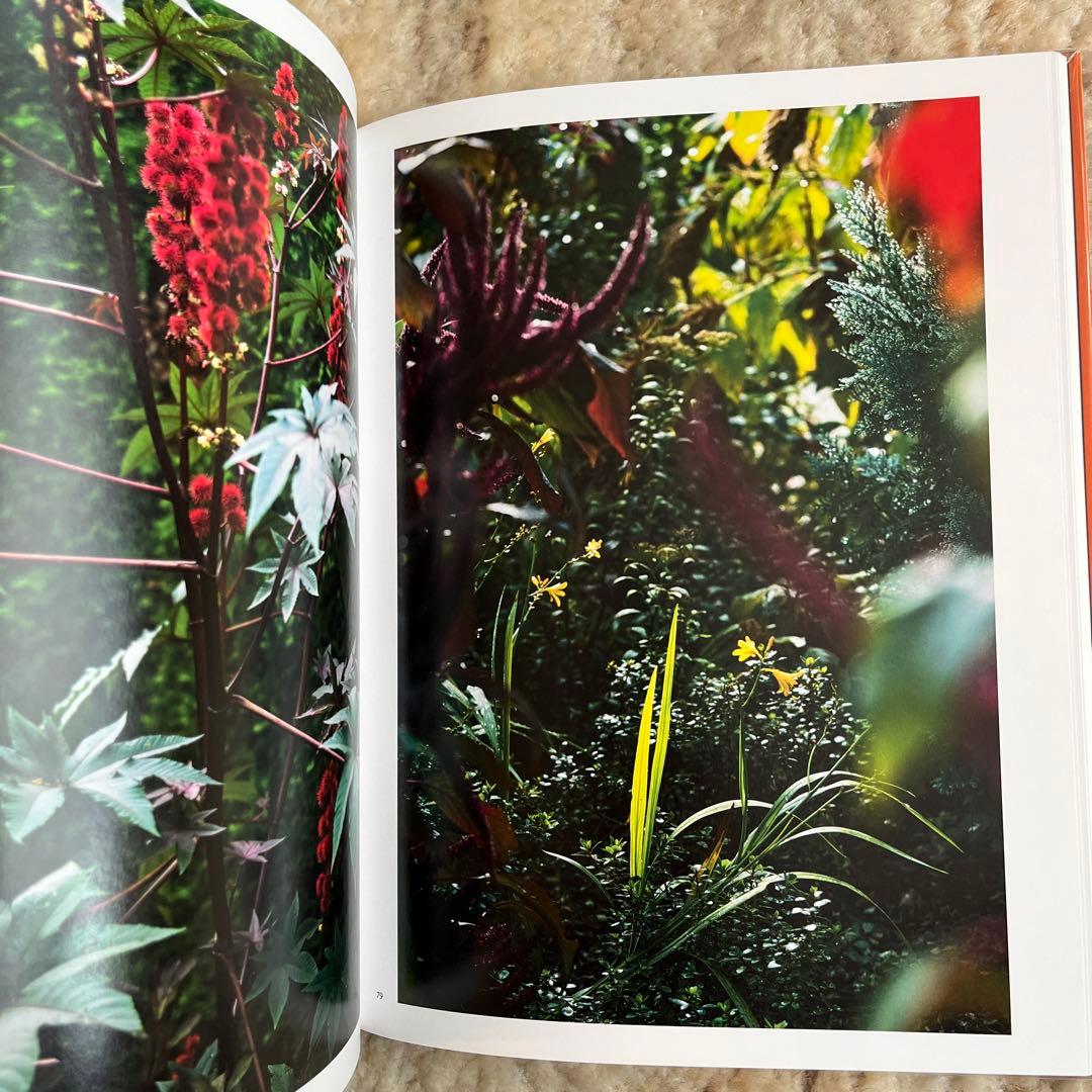 Terri Weifenbach 写真集