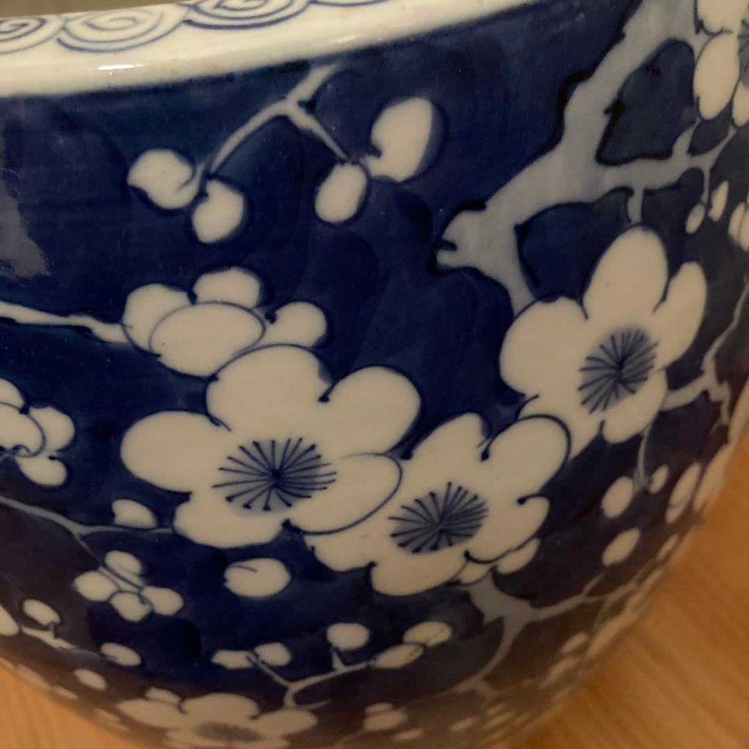 呉須 梅の花 火鉢 磁器 陶器