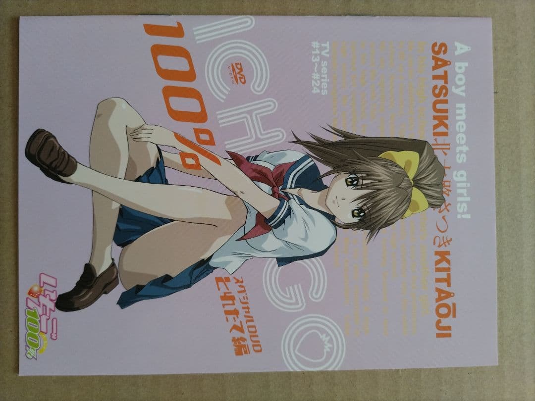 いちご100% スペシャル DVD ~とれたて編~