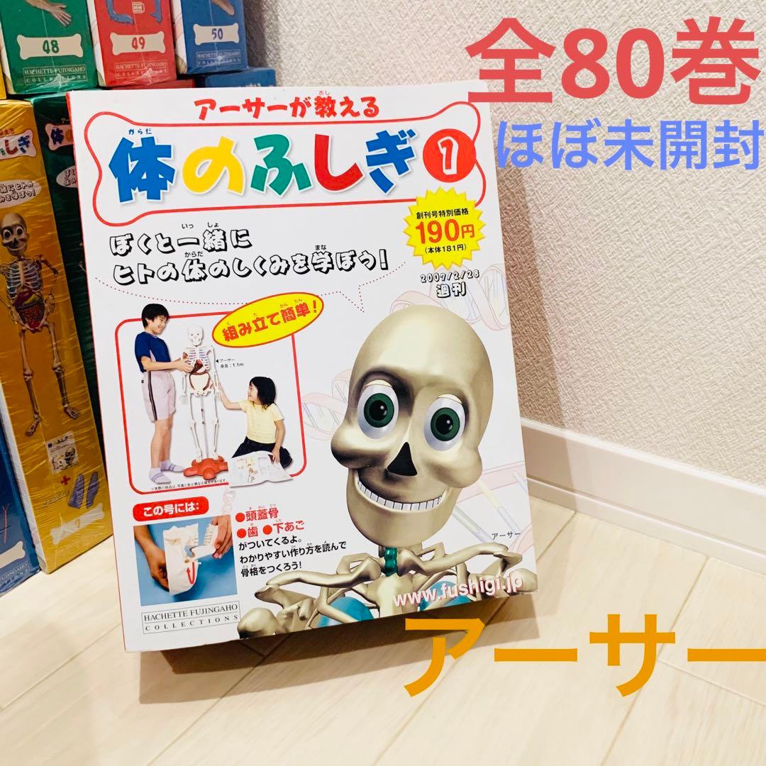 全80巻］アーサーが教える 体のふしぎ 人体模型 知育 医学 - メルカリ