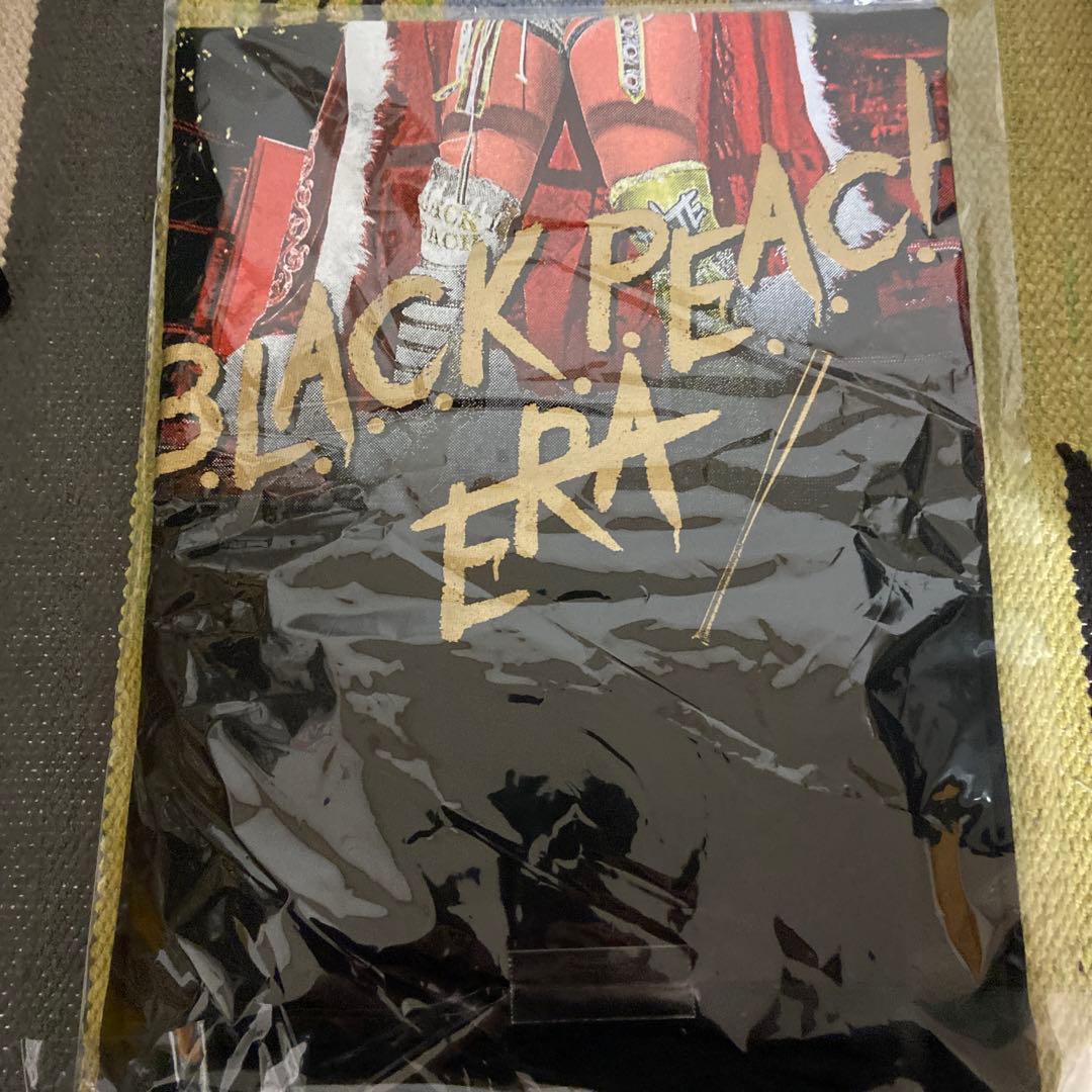 渡辺桃 5☆STAR GP 優勝Tシャツ XL スターダム H.A.T.E