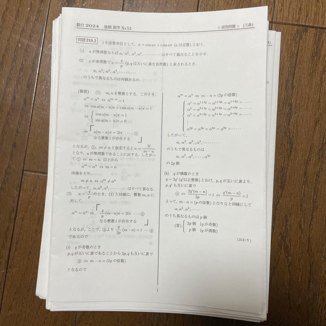 駿台 2024三森司先生のプリント - メルカリ
