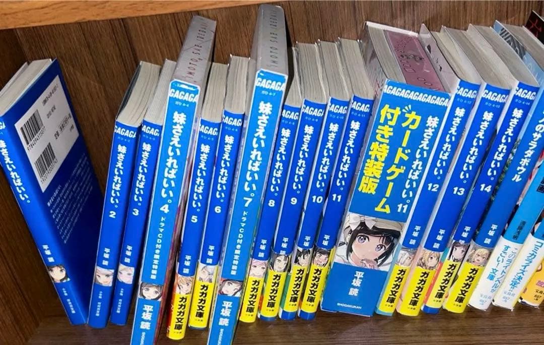 平坂読　妹さえいればいい。　サラダボウル　僕は友達が少ない　漫画　小説　セット ライトノベル]妹さえいればいい。(全14冊) | 漫画全巻ドットコム