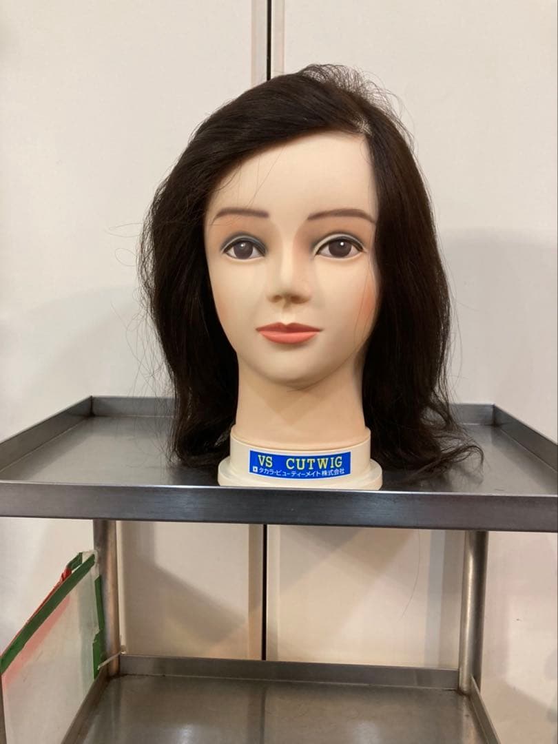 VSウイッグ4個セット美容師トレーニング用 カットウィッグ BG511【トレーニング用/100%人毛】の卸・通販