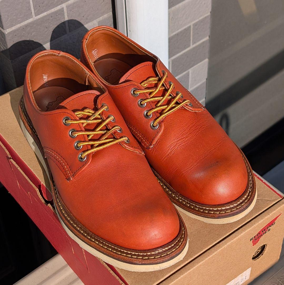 US8D／26cm】レッドウィング 8001 オックスフォード オロラセット