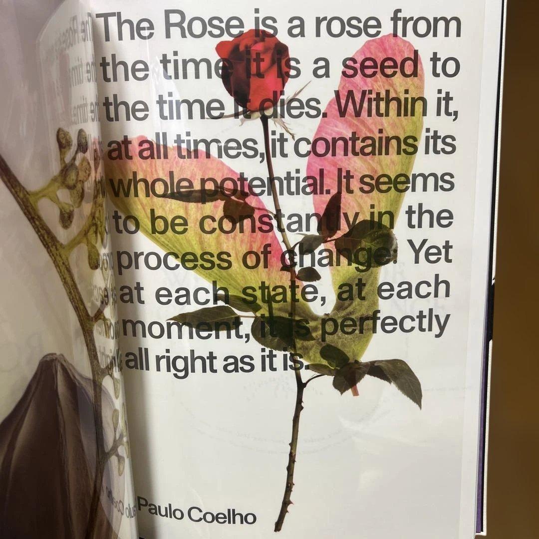 タンバリンズ アートブックTAMBURINS 2024 EVENING GLOW - メルカリ