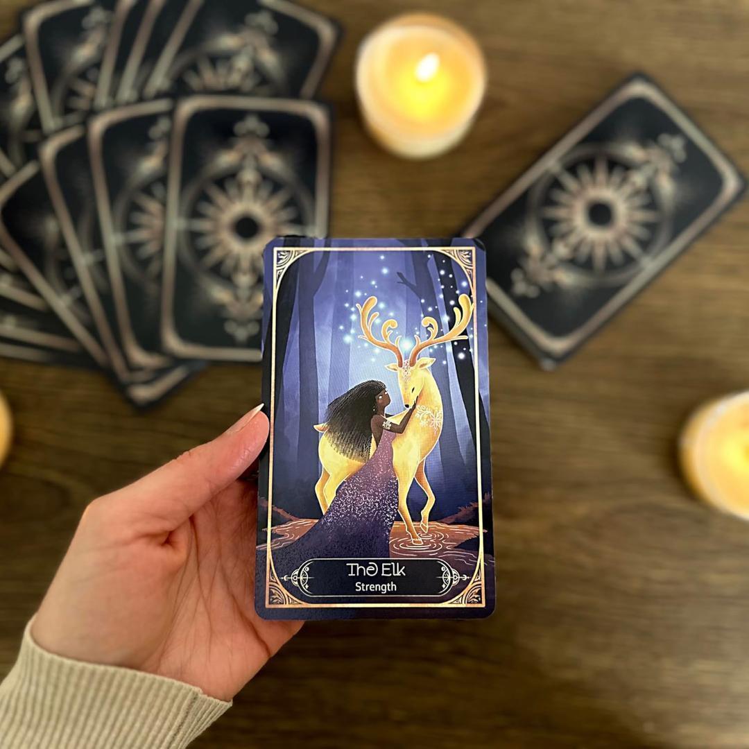 正規品オラクルカード】希少インディーズ✨人間と動物界を繋ぐ美しい