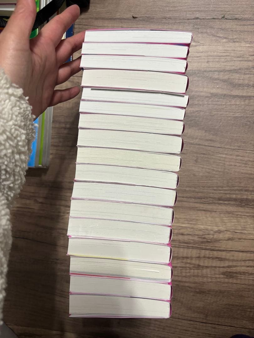 美品❣️ 総長さま、溺愛中につき。1〜15 11.5と公式ファンブック