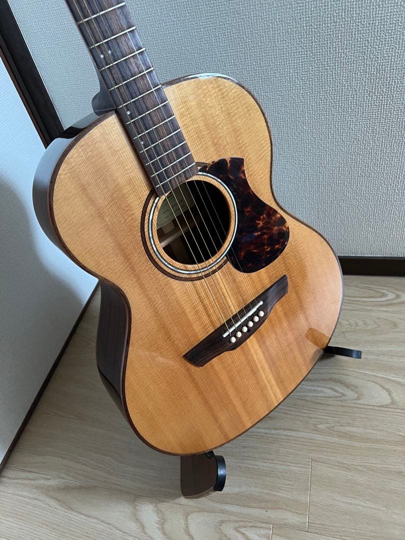 James オール単板 エレアコ j-800a