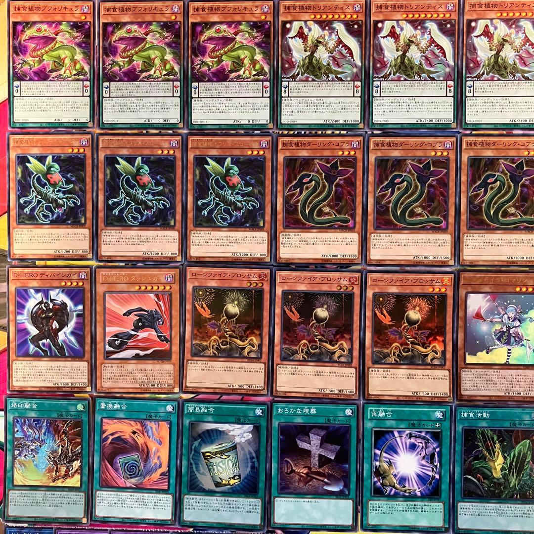 捕食植物 プレデタープランツ デッキ 遊戯王 Predaplant deck - メルカリ