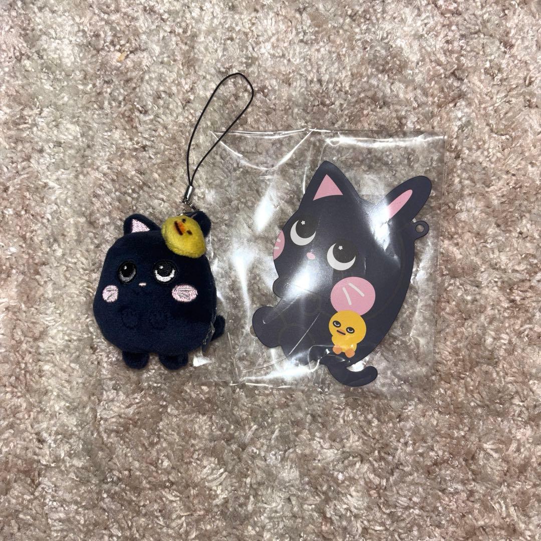 RIIZE ウォンビン トニャンドク ミニドール - メルカリ