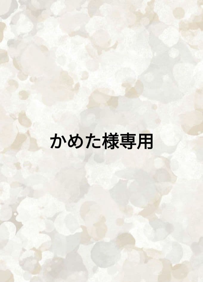 かめた 21858n_1.jpg?v=1722325922&