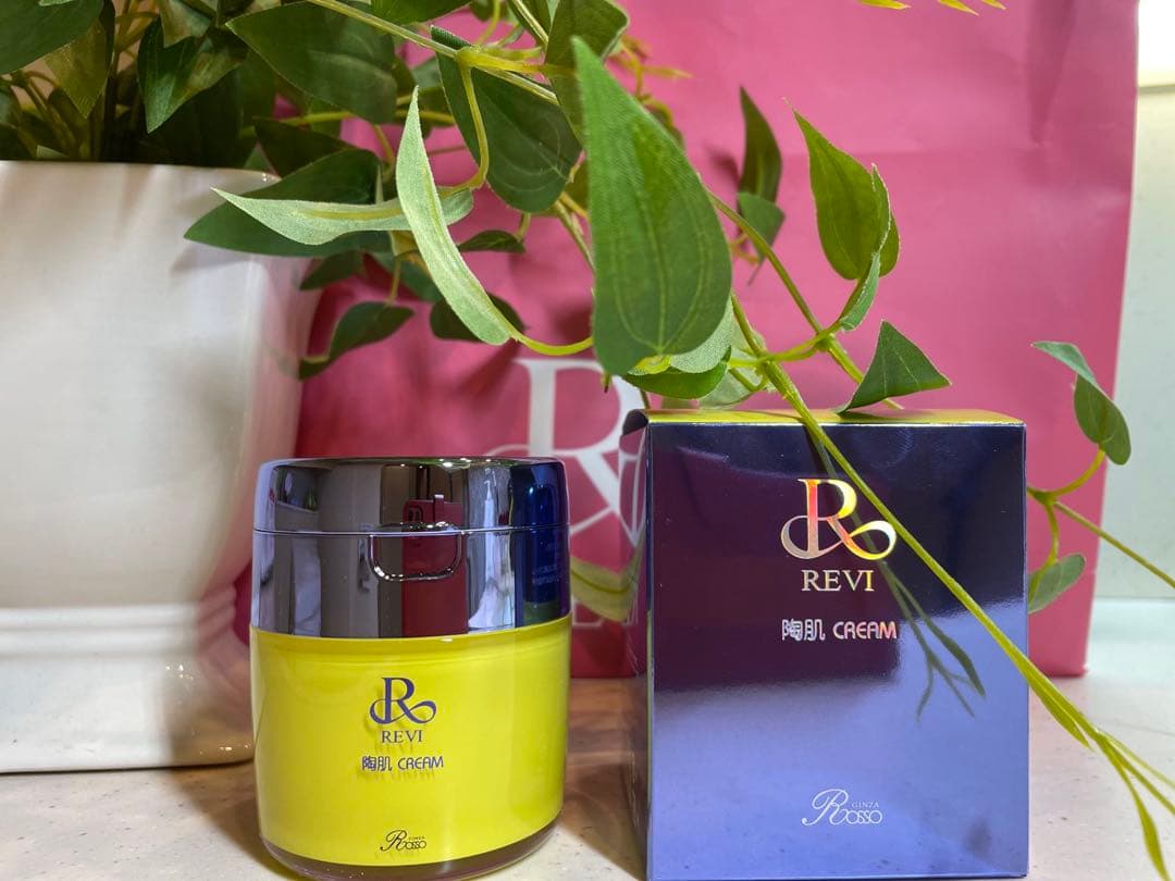 REVI ルヴィ【NEW 陶肌クリーム】50g - メルカリ