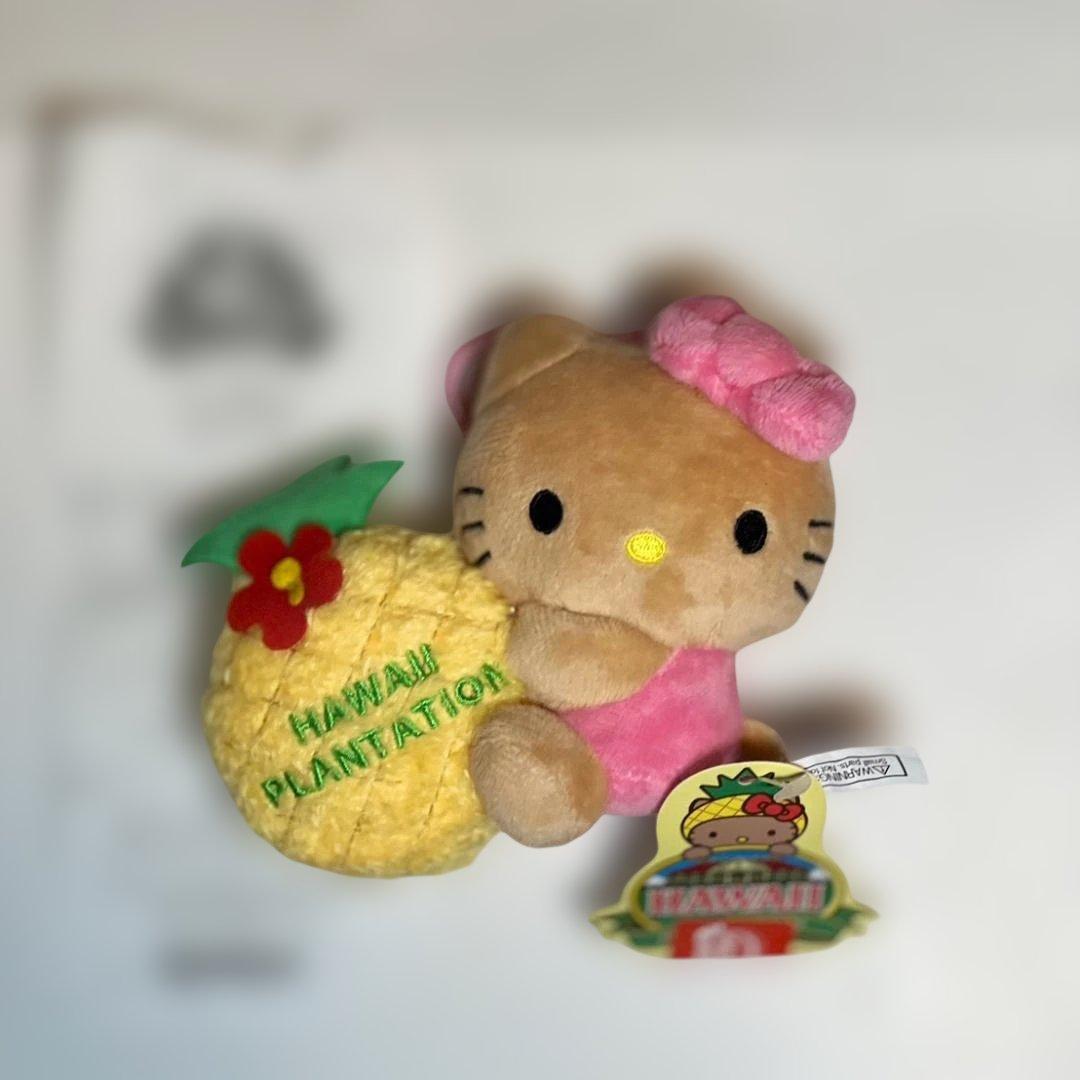 新品・未使用】レア！日焼けキティセット【ハワイ超限定品】 - メルカリ