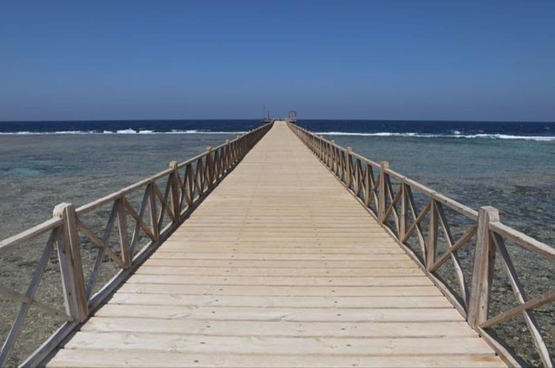 SixTONES CD シングル35枚 新品あり 3形態同時購入セット》一秒 / Rebellion【初回盤A+初回盤B+通常盤