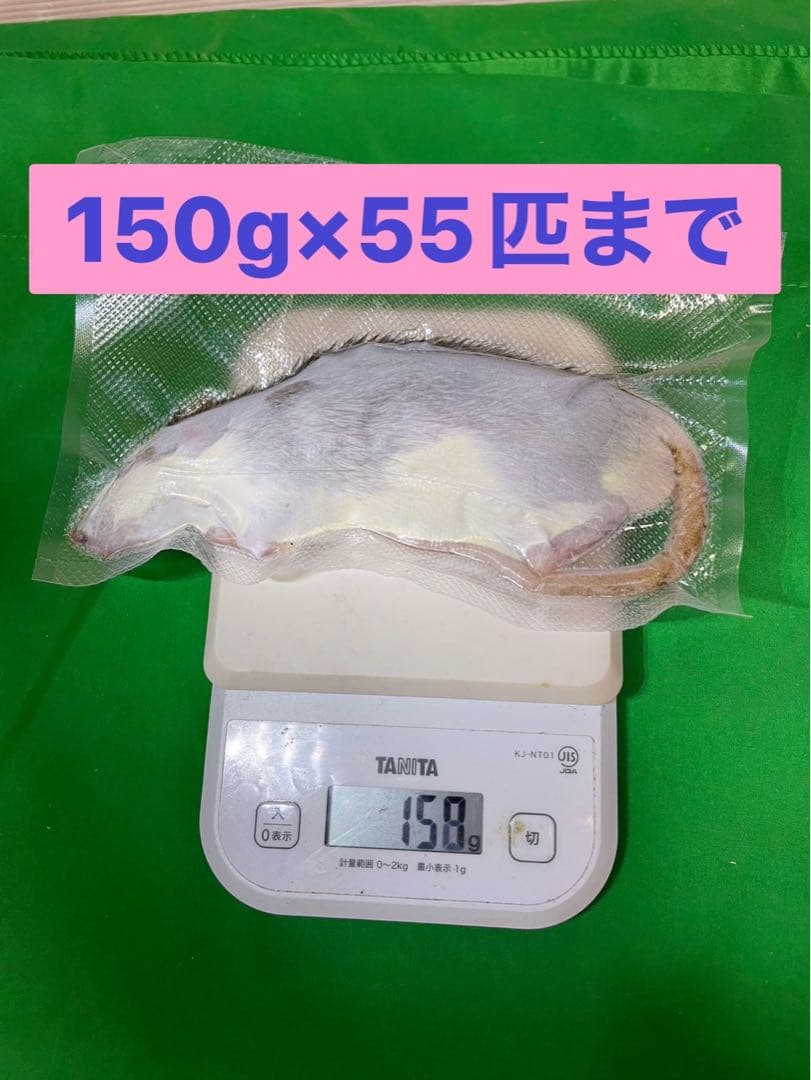 【tingachan】冷凍ラット Amazon.com: Titan Fridge Cold Crush Resistant Expandable Lunch Bag