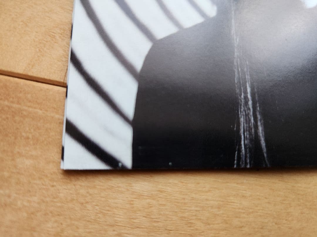 ゆらゆら帝国 / ゆらゆら帝国 インディーズ2nd 帯あり 歌詞カードあり