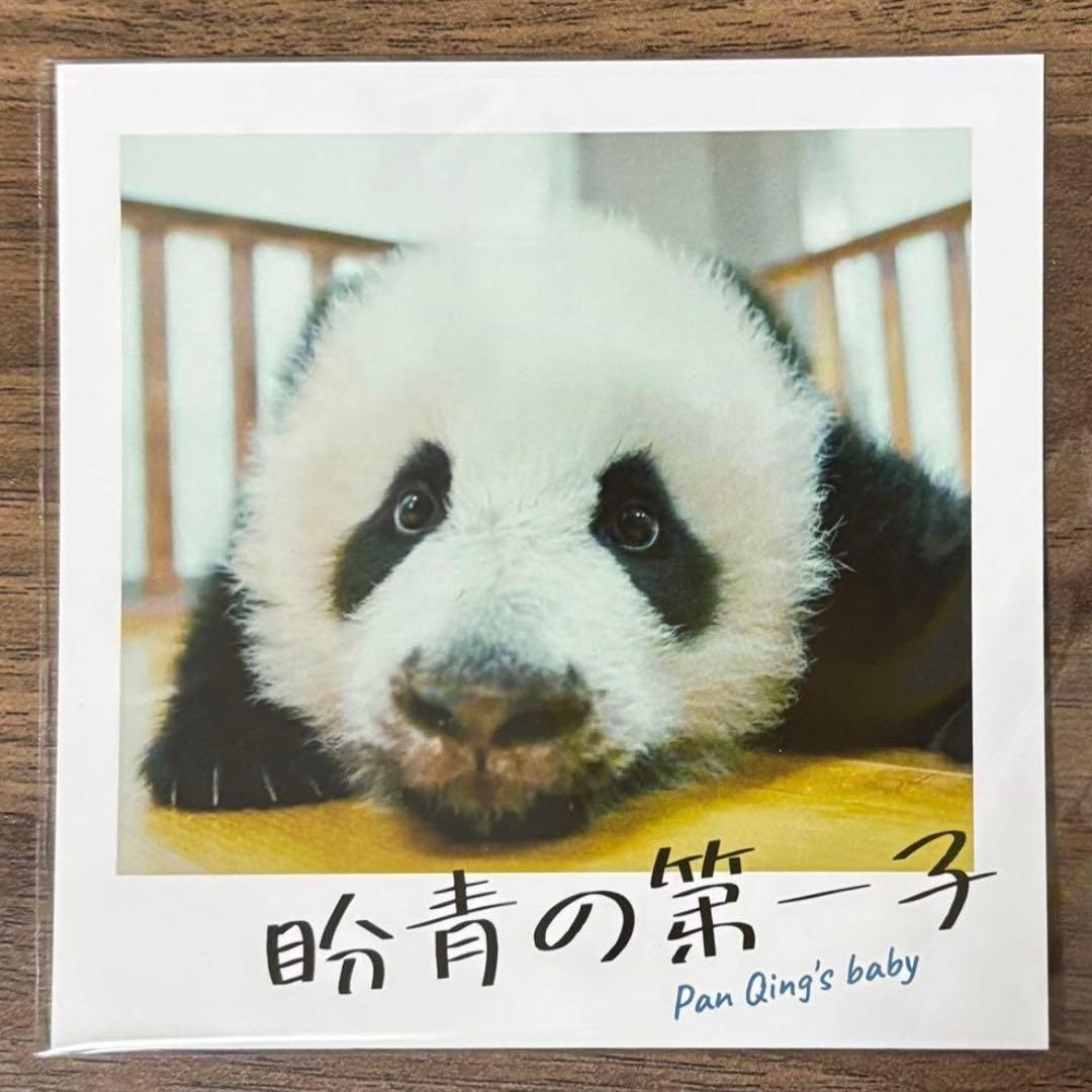 パンダのすごい世界 映画特典 チェキ風カード 2枚 - メルカリ