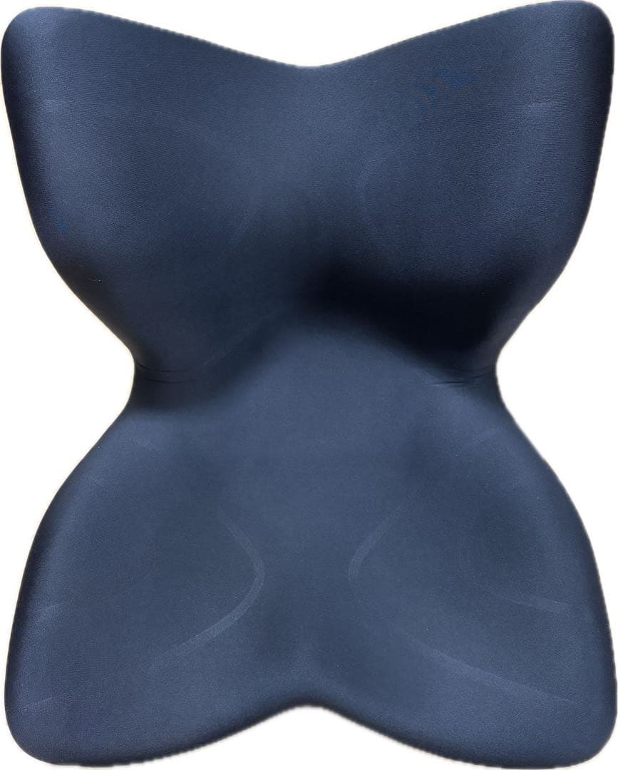 スタイルプレミアム ブラックStyle PREMIUM MTG 骨盤 Style（スタイル） ○ポイント10倍！○ MTG公式ストア 座椅子