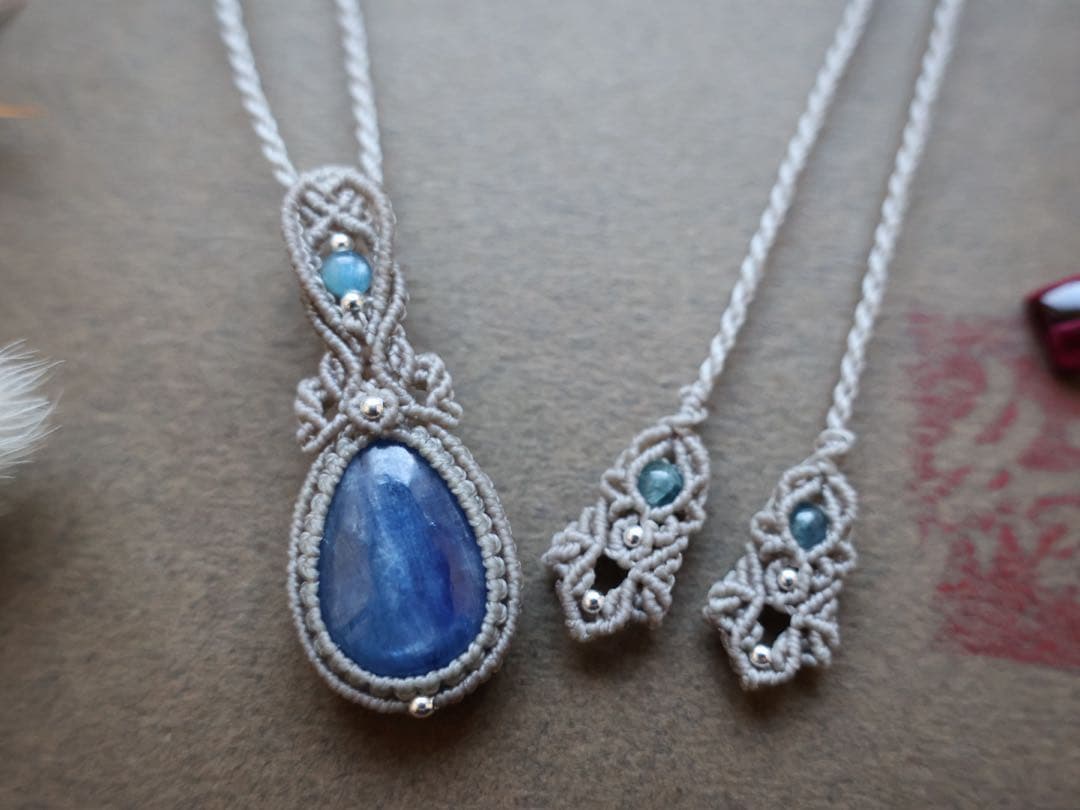 でんちゃん 11/8