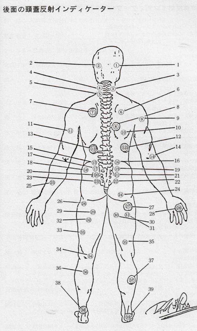 SOT 頭蓋骨治療 クラニアル・スタディガイド Dr.DeJarnetteの通販はau