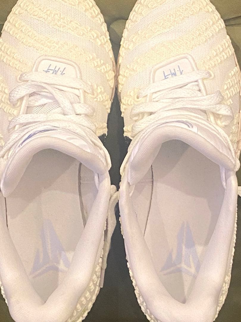 NIKE JA 3 EP nike ja3 ep 25.5cm ココナッツミルク