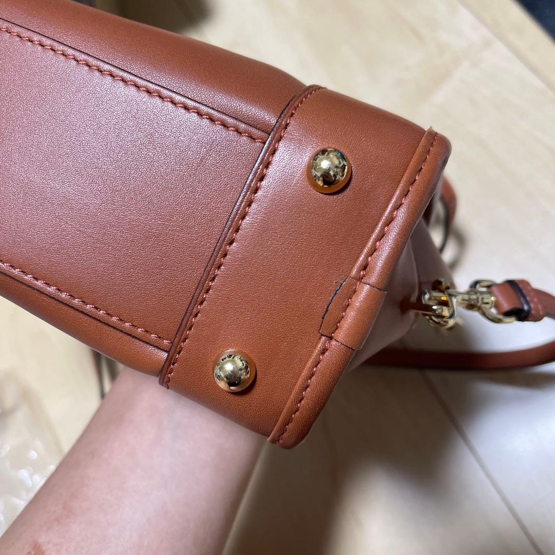 LOEWE AMAZONA 23 BAG ブリックレッド 中古 - メルカリ