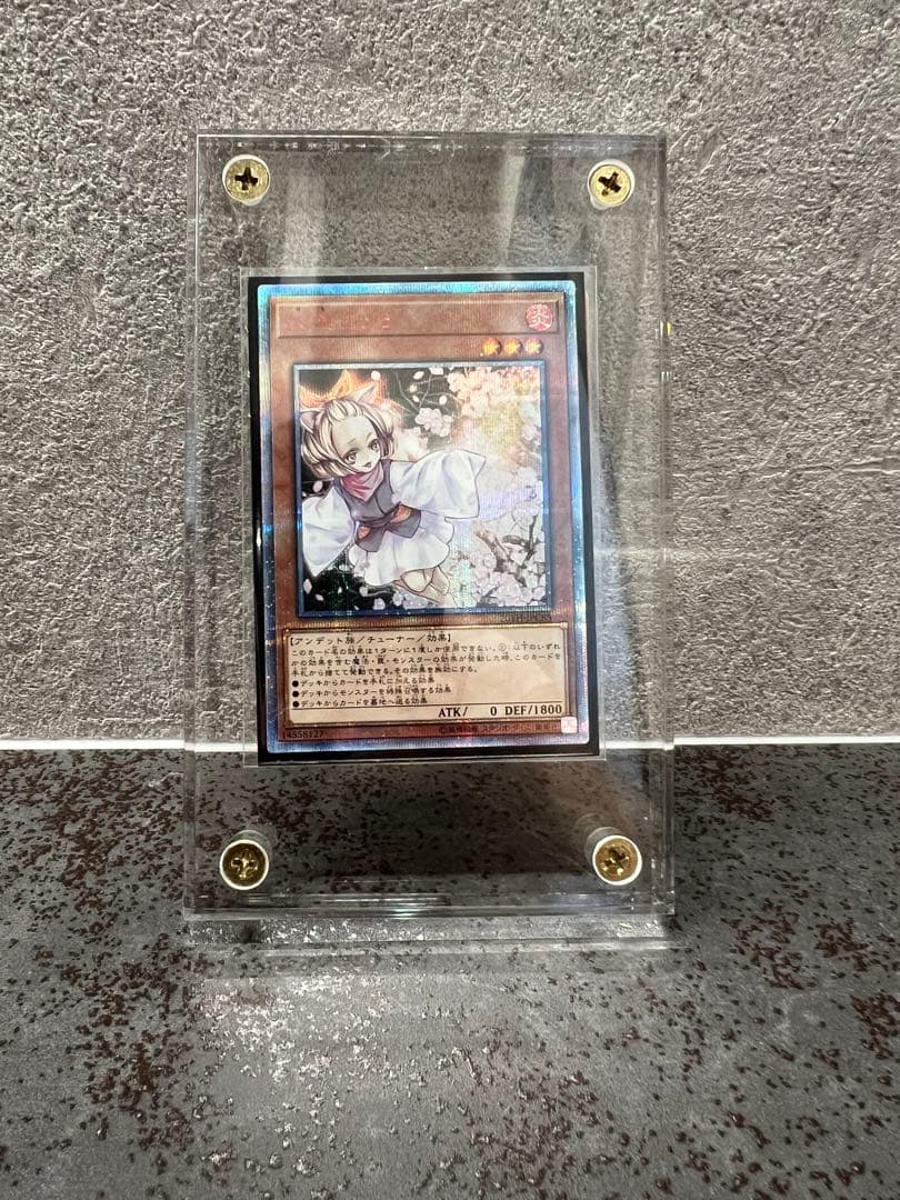 遊戯王OCG 灰流うらら20th & ブルーアイズオルタナティブホワイトドラゴン 青眼の亜白龍 | 遊戯王OCG 検証型データベース 『YPS』