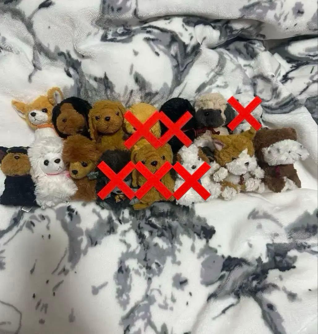 たけのこ ジョイフルメイト 犬 ぬいぐるみ 犬 ぬいぐるみ キーホルダー たけのこ TAKENOKO JOYFUL MATES ふわもこ