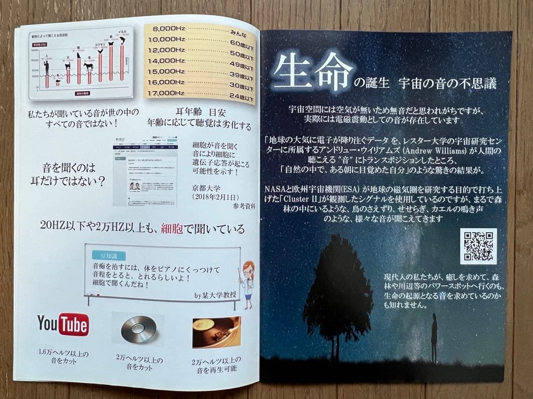 シンフォニー ヒーリングCDレコードSDカードセット