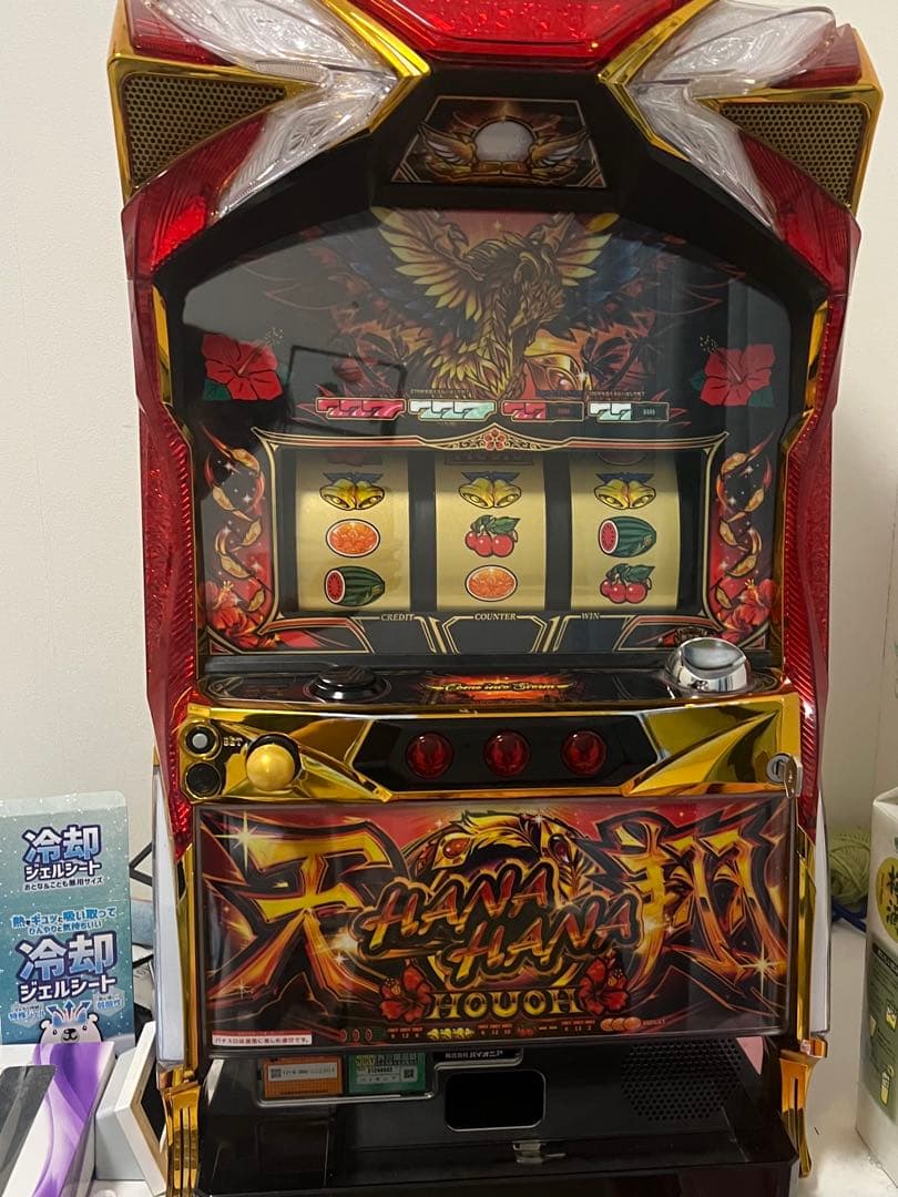 ぱくさん専用 HG 1/144 エグザベ専用ギャン(ハクジ装備)/XAVIER'S GYAN HAKUJI-PACKS