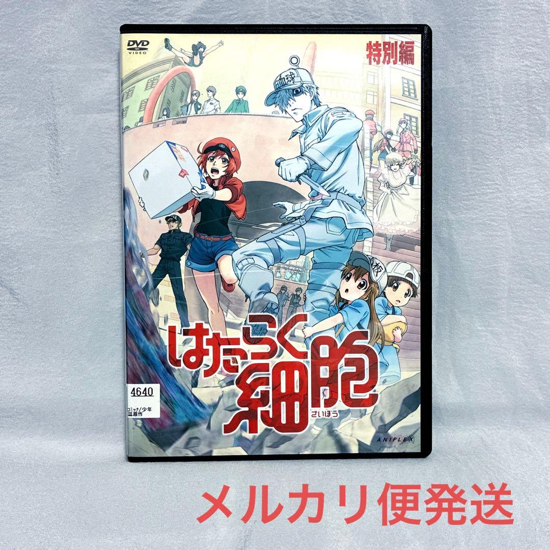 はたらく細胞 特別編【レンタル落ちDVD】 - メルカリ