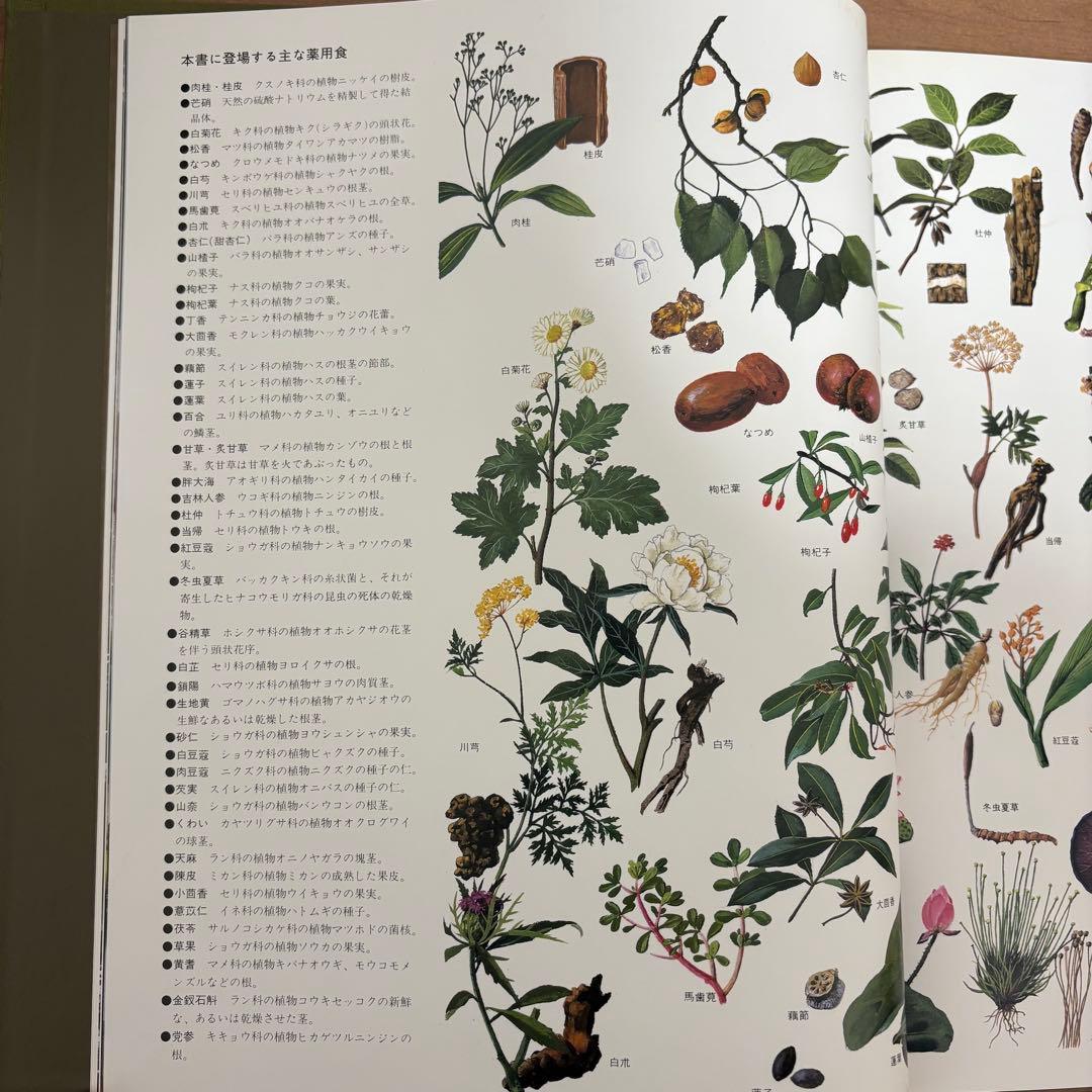 ❗️お値下げ中❗️【漢方健康料理 全8巻】中国料理レシピ 中国医学