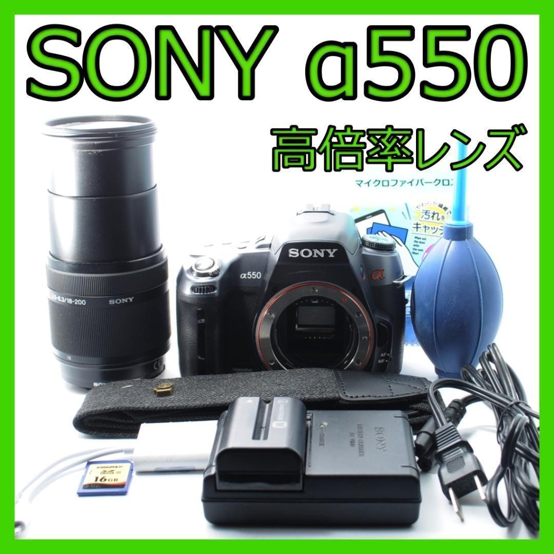 家族旅行を綺麗に残す！❤️SONY α550✨高倍率レンズセット✨️すぐ使える 家族旅行の綺麗に！❤️SONY α550✨高倍率レンズセット✨️すぐ使える