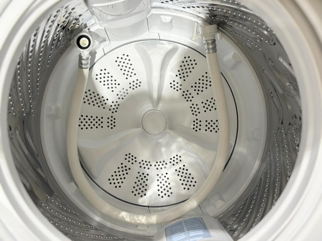 新生活 一人暮らし 送料無料 ハイセンス 洗濯機 5.5kg 2024年製