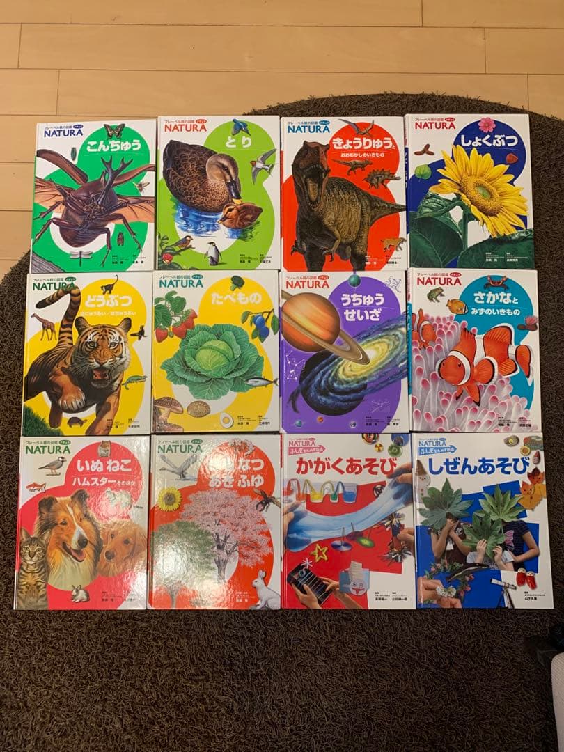 フレーベル館の図鑑　NATURA 12冊セット フレーベル館の図鑑ナチュラ12 はる なつ あき ふゆ | 無藤 隆,無藤 隆