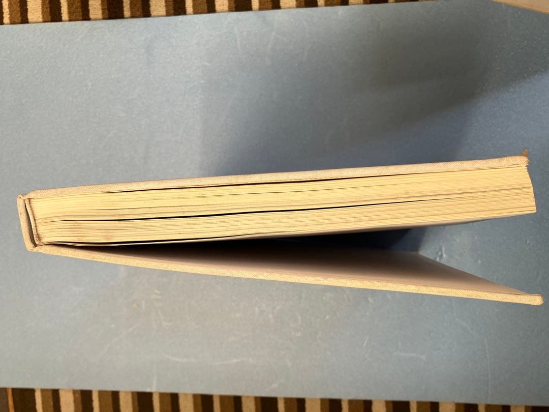 超貴重絶版本！ラフシモンズ10周年記念写真集/REDUX(価格相談)