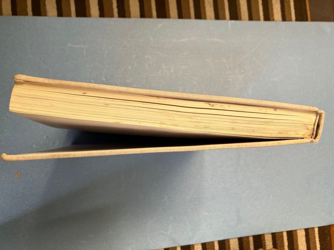 超貴重絶版本！ラフシモンズ10周年記念写真集/REDUX(価格相談)